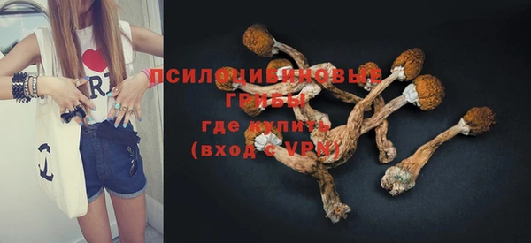амф Гусиноозёрск