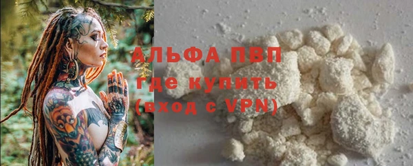 ПСИЛОЦИБИНОВЫЕ ГРИБЫ Нея