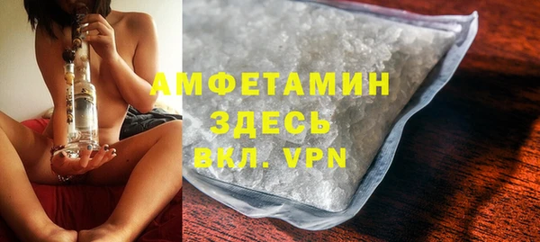 амф Гусиноозёрск