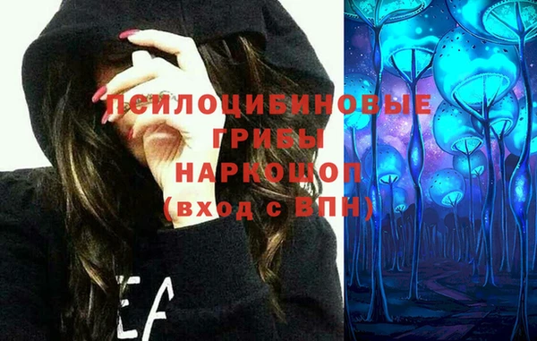 скорость Дмитриев